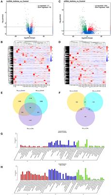 Analysis of lncRNA Expression in Patients With Eosinophilic and Neutrophilic Asthma Focusing on LNC_000127